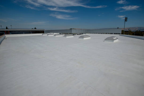 Best Flat Roofing  in Blaine, MN