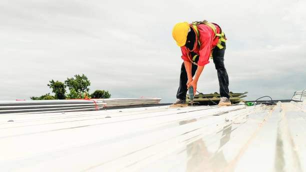 Best Rubber Roofing (EPDM, TPO)  in Blaine, MN